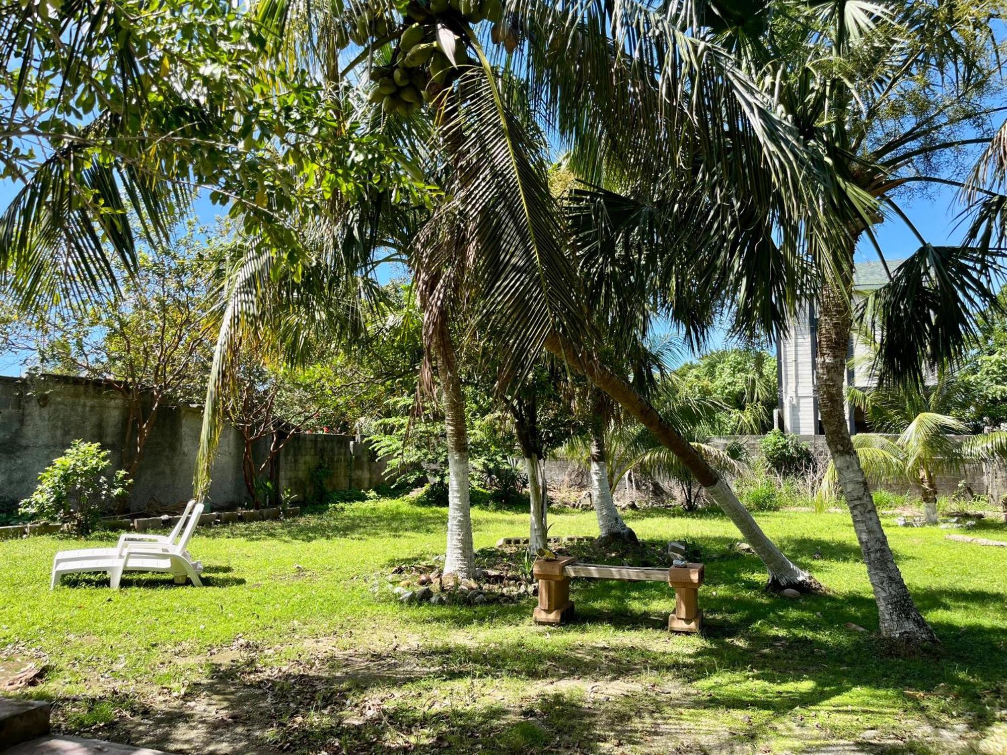 Perfect Place - Diana Cozumel