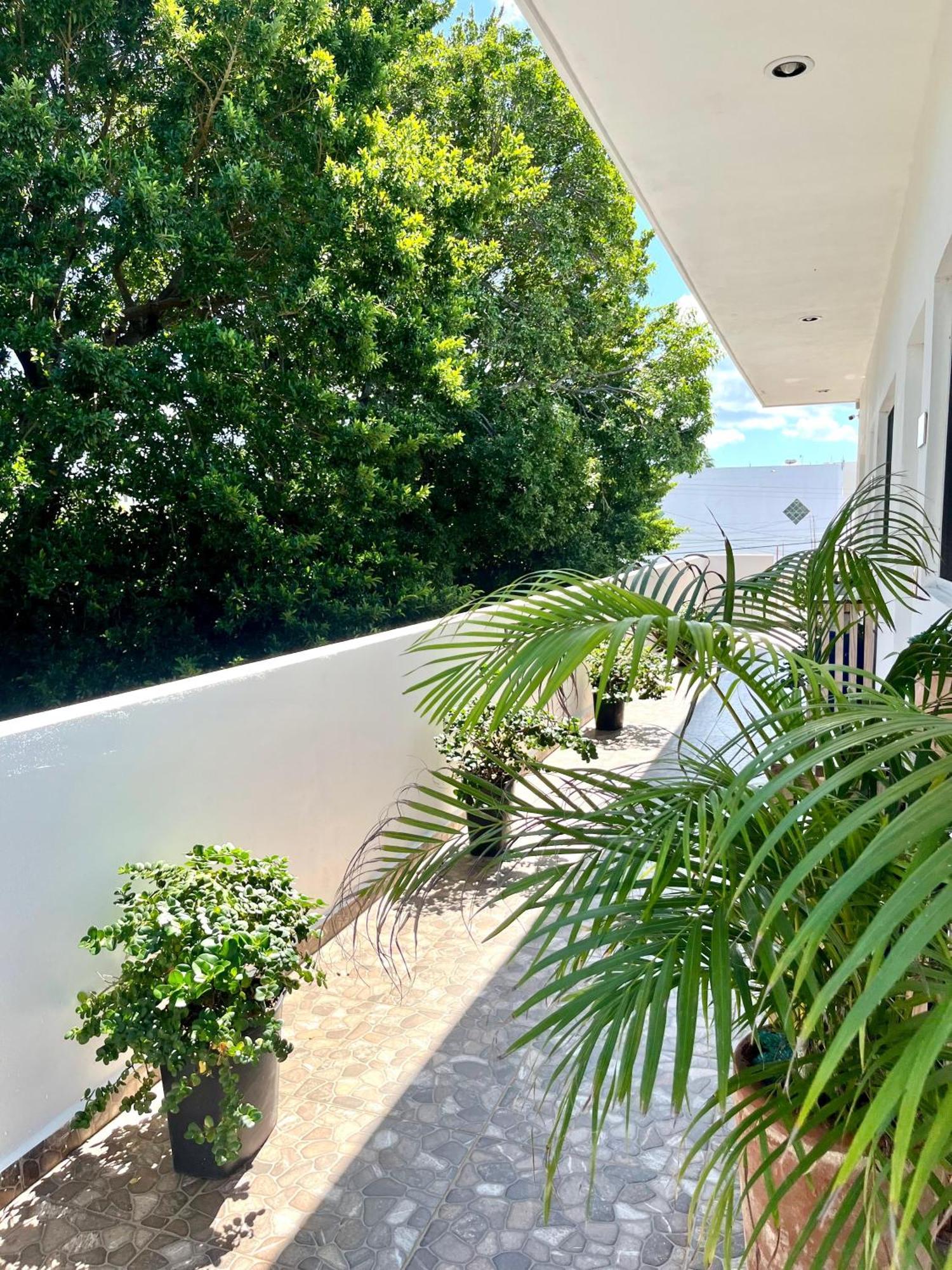 Apartment Perfect Place - Diana Cozumel
